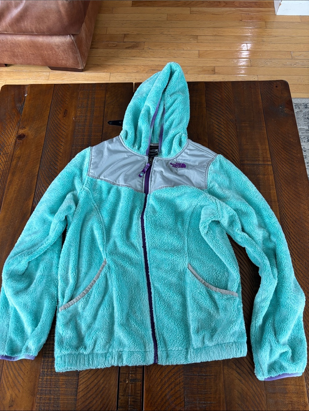 The North Face Turquoise Hooded Fleece Jacket with Gray Yoke